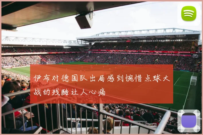 伊布对德国队出局感到惋惜点球大战的残酷让人心痛